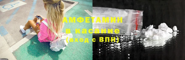 индика Абаза