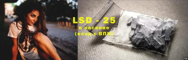 индика Абаза