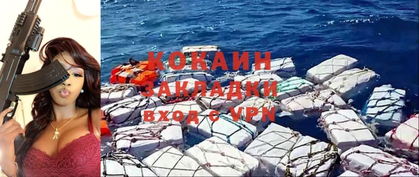 индика Абаза