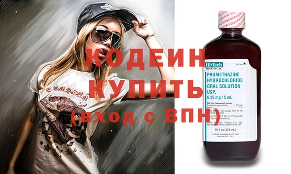 индика Абаза