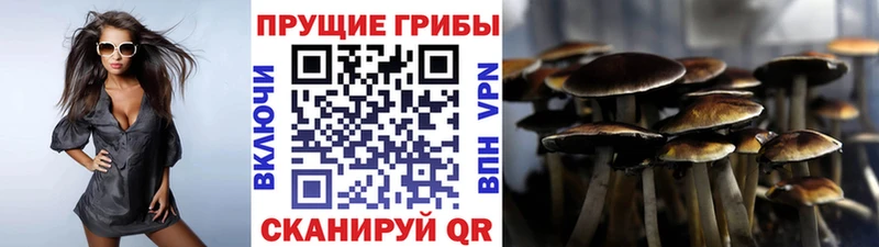 цены наркотик  MEGA ссылки  Псилоцибиновые грибы Psilocybe  Абдулино 